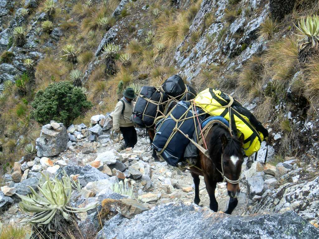 Pack Horse carrying heavy gear into Sierra Nevada del Cocuy